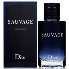 Christian Dior 迪奧 曠野之心男性淡香水100ml★七彩美容百貨｜限時滿額折$150