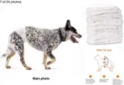 AmazonBasics Male Dog Wrap Medium Size Waist 30 Pieces