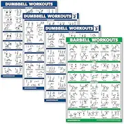 Palace Learning 4 Pack - Dumbbell Workout Posters Volume 1, 2 & 3 + Barbell Exercise Chart - Set of 4 Posters (LAMINATED, 18" x 24")