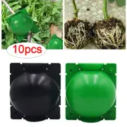 10x Grafting Box Plant Rooting Grow Ball Plant Propagation Air-Layering Pod