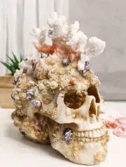 Marine Sea Explorer The Great Barrier Coral Reef Shells And Rocks Skull Figurine