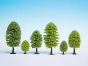 NOCH, Lot of 25 deciduous trees of heights 5 to 9cm, , NOC26801