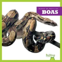 在飛比找博客來優惠-Boas (Boa Constrictors)