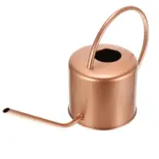 Long Mouth Watering Can Child Concise Kettle Flower Pot Modern Style