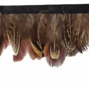 Almond Pheasant Feather Trimming per metre - Natural