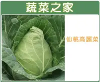 在飛比找Yahoo!奇摩拍賣優惠-【蔬菜之家】B09.仙桃高麗菜種子//日本進口仙桃甘藍，四季