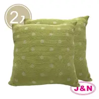 在飛比找momo購物網優惠-【J&N】綠圓點彈性抱枕60*60-綠色 米色(2入/1組)
