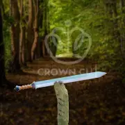 Handmade Carbon Steel Gladius Viking Outdoor, Hunting, Survival Forest Sword