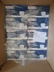WALGREENS 20 Boxes of 3 Layer Construction Face Masks. 50 In Each Box.