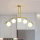 燈 燈具 吊燈 5頭吊燈 魔豆吊燈 北歐 餐廳 創意個性輕奢網紅金色溫馨家用吧臺簡約現代多頭魔豆吊燈 (7.1折)