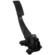 Accelerator Pedal Sensor WVE 5S8784