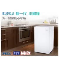 在飛比找蝦皮購物優惠-TECO 東元 99公升 一級能效單門小冰箱 套房(R109