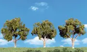 Woodland Scenics SP4149 Scene-A-Rama 4" - 5" Deciduous Trees (Pack of 3)