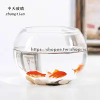 在飛比找蝦皮購物優惠-玻璃魚缸 桌面魚缸 花盆水培魚缸 玻璃透明花瓶花盆球形圓形大