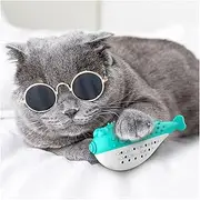 Catnip Chew Toys Simulation Fish Shape Teaser Silicone Cat Teeth Cleaning Stick for Pet Cat Kitten(Blue and White cleaning expends energy grinding teeth (Color : Picture 1, Size : 12.2x4.9CM)