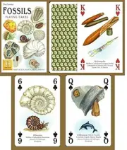 Fossils set of 52 playing cards + jokers