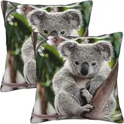 [OdDdot] 2PCS Cute Koala Print Pillow Case,Square Soft Throw Pillow Cover, for Living Room Couch Sofa Cushion Cover
