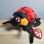 TY Beanie Baby - COUNTESS the LadyBug (BBOM June 2004) (5 inch) - MWMTs
