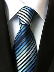 Tie, Man Business Casual, Formal Necktie, White Collar, tie, Wedding tie, tie