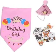 iplusmile Creative Dog Birthday Collar Hat Adorable Party Accessories for Pets Comfortable Safe Material for Celebrating Special Moments