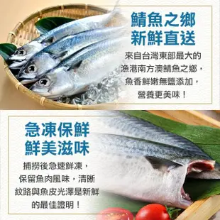 【享吃海鮮】南方澳鮮撈無鹽鯖魚50片組(2片裝/110-120g/片)