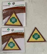 Girl Scouts Brownie Girl Scout Way Badge Earned Award
