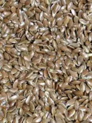 Avigrain Linseed 25kg Flat Bird Seed Wild & Aviary Birds Omega 3 Nutrition Diet