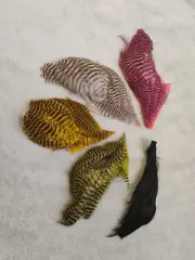 GRIZZLY SADDLE HACKLE FLY TYING FEATHERS MATERIAL. Set Of 5 Colors