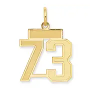 10K Yellow Gold 10Ky Small Satin Number 73 Charm
