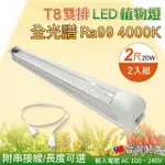 【築光坊】2入組 T8 雙排加強型 2尺20W 全光譜 植物燈 台灣製(附串接線 4000K RA99 植物生長燈 支架燈)