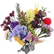 COHEALI 1 Box Dried Pressed Flowers Resin Mould Real Pressed Flowers Dry Leaves Bulk Mixed Colorful Flowers Herbs Kit for Scrapbooking DIY Candle Jewelry Crafts Making Nails