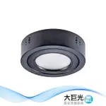 【大巨光】LED 21W 吸頂筒燈(LW-11-5172)