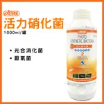 【春日水族】ISTA 活力光合硝化菌 (新配方) 1L 水質穩定 水族硝化菌 淨水除臭 水質處理 魚缸水質 底濾 伊士達