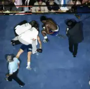 Mike Quarry unconscious, down on canvas after round 4 knocko - 1972 Old Photo