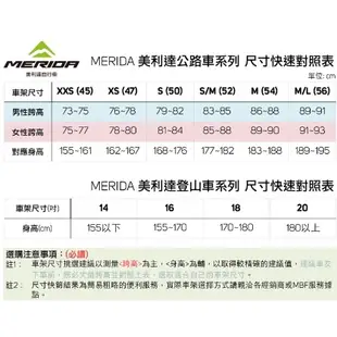 《MERIDA》700C Scultura lite輕量鋁合金 ABR718A內走線 斯特拉 93 -石頭單車