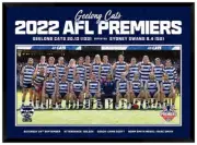 2022 AFL PREMIERS GEELONG CATS OFFICIAL AFL PRINT FRAMED MEMORABILIA