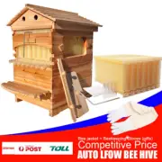 Auto Seep Beehive Honey Bee Hive Box Beekeeping Hives + 7 Beehive Frames + Glove