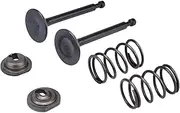 Intake Inlet Exhaust Valve Spring Collet Retainer Set for Honda GX160 GX200 168F 170F 5.5-6.5HP Gas Engine Motor Generator Mower