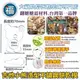 餅乾模【吉他小熊】餅乾切模 糖霜餅乾模具 可參考wilton蛋白粉 色膏 食用色素 翻糖 色素筆 不鏽鋼餅乾模型 卡通