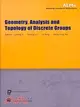 Geometry, Analysis and Topology of Discrete Groups