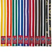 Martial Arts Rank Belts Karate Tae Kwon Do Child Adult Double Wrap White Stripe