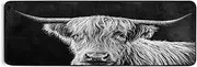 Highland Cattle Hallway Runner Rugs Kitchen Floor Mats Laundry Farmhouse Living Room Decor Area Rug 72x24in Isle of Mull Style