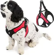 Gooby - Escape Free Easy Fit Harness, Small Dog Step-in Harness for Dogs That Like to Escape Their Harness, Red, Medium