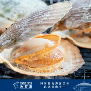 【魚有王】 日本北海道帶卵扇貝300g *3包(免運組)