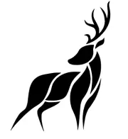 Deer stencil painting/tracing/drawing Size 8x10 reusable All sizes face painting