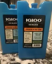 Igloo Maxcold Ice Medium Freeze Block (Pack of 6)
