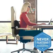 Healthy Back Lumbar Support Memory Foam Cushion