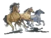 Running Horses Embroidered Iron On/Sew Patch [9"x 7"]