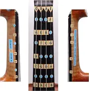 Fantastic Finger Guide for Violins Kids/Adult Beginner | Stringed Musical Instruments | Fingerboard and Fretboard Stickers for Learning All Notes | Play or Fiddle (1/4)