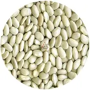 Dried Great Northern Beans - 450 gm
